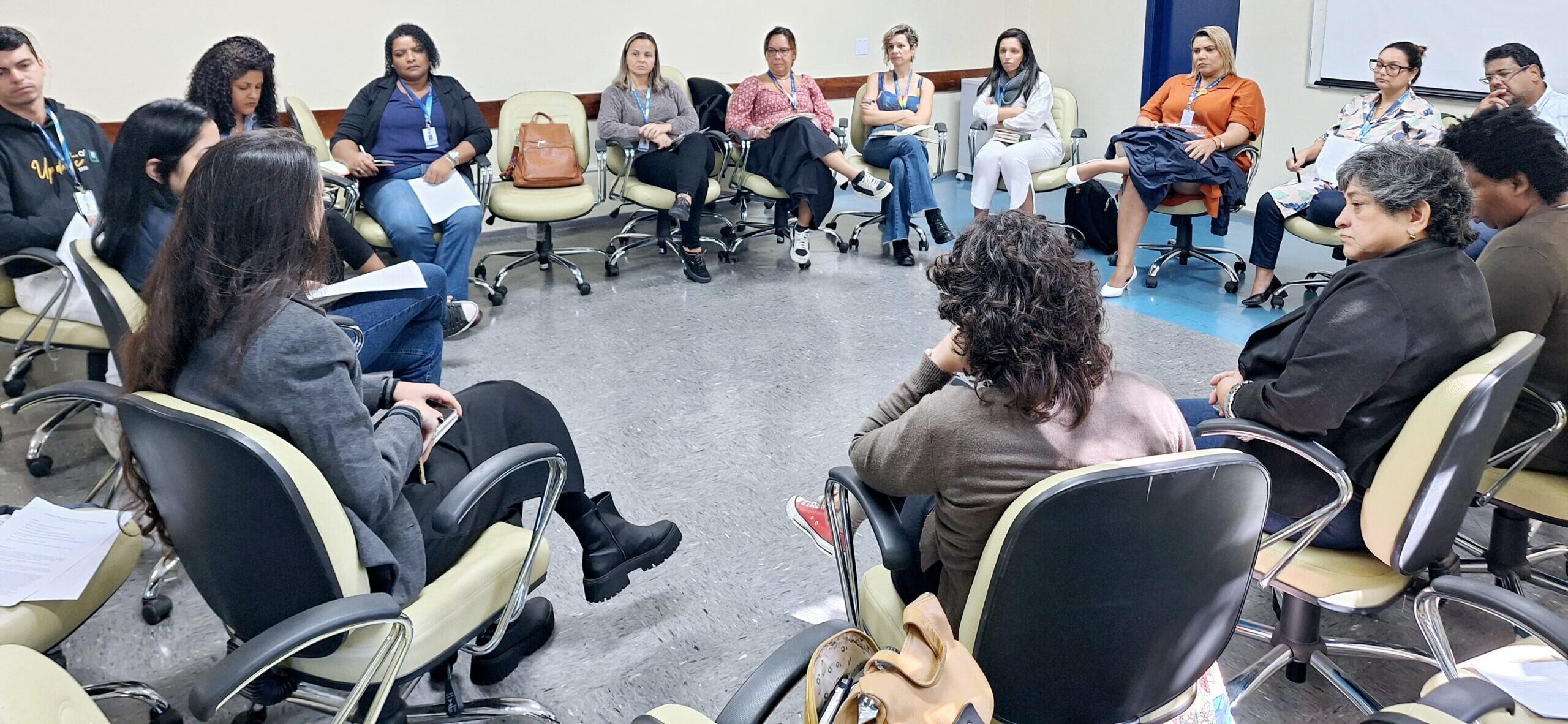 Reunião de Alinhamento Técnico e Estratégico para Qualificação de Gestão da Viva Rio é realizada no IMPP